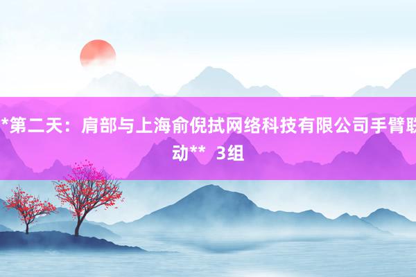 **第二天：肩部与上海俞倪拭网络科技有限公司手臂联动**  3组