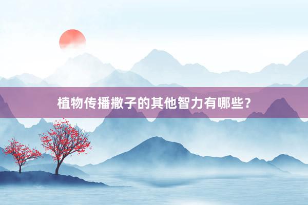 植物传播撒子的其他智力有哪些？